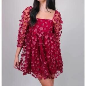 STORIA Burgundy 3D Floral Appliqué Babydoll Dress - Small whimsy goth fairycore